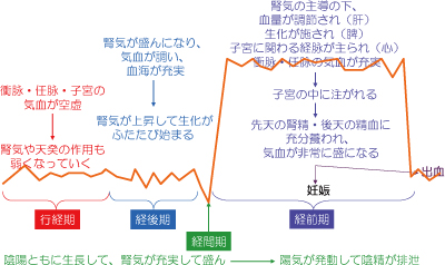 マタニティ針灸、妊婦針灸、つわり、逆子