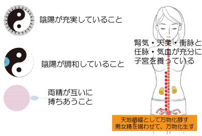 妊婦、妊婦検診、妊婦マッサージ、妊婦針灸